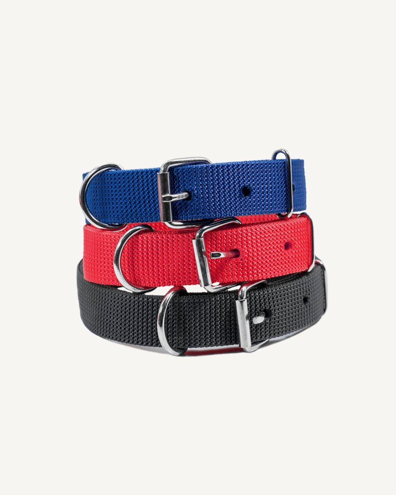 Color Belts
