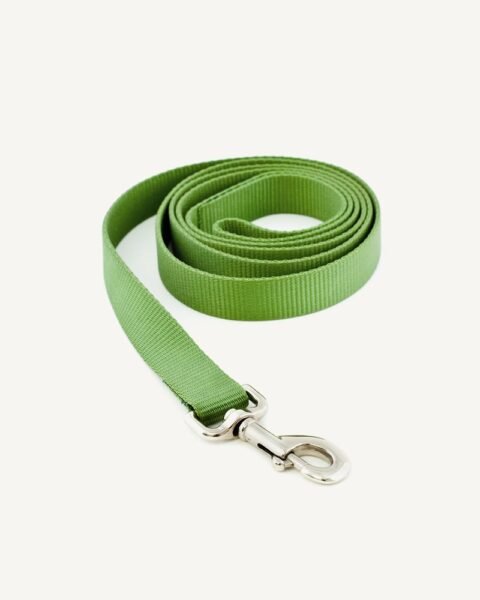 Green Leash