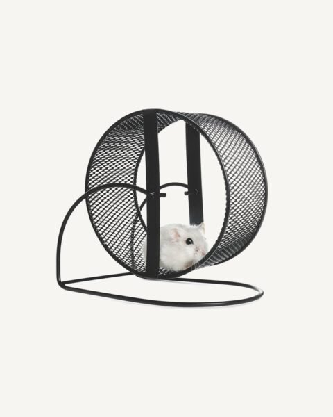 Hamster Wheel
